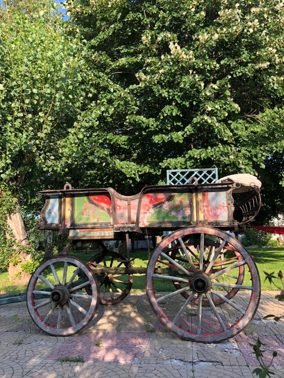 ホテル Galeria In The Garden プロヴディフ エクステリア 写真